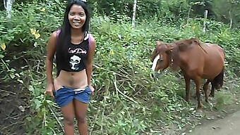 Asian Beauty Heather Deep Loves Big Horse Cock And Squirts