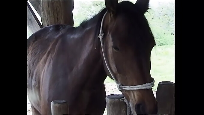 Italian Teen Eagerly Gives Oral Pleasure On The Farm