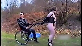 Introduction To Bdsm Pony Play For Amateur Couples