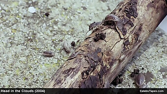 সেলিব্রিটি লেসবিয়ানরা রাফ সেক্স এবং ডোমিনেশনে লিপ্ত হয়