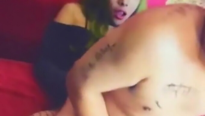 Kecantikan Transseksual Yang Cantik Dalam Video Panas