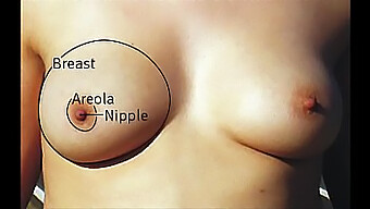 Compilation Of Various Types Of Big Boobs