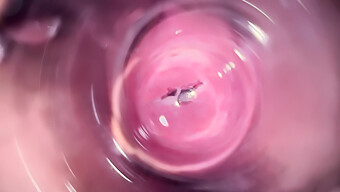 Close-Up Of Internal Camera Exploring Brunette Teen'S Vagina